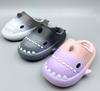 EVA CLOGS